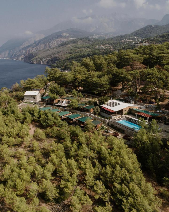 Rocas Roja Beach Hotel Faralya Eksteriør billede