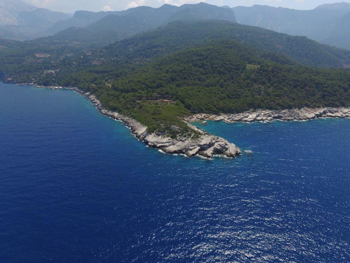 Rocas Roja Beach Hotel Faralya Eksteriør billede